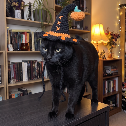 Mavis's Crochet Cat Hats